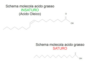 Grassi saturi ed insaturi: facciamo chiarezza