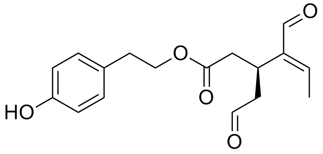 Il gusto dell’Olio