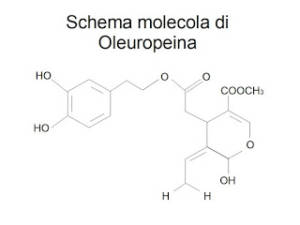 Oleuropeina