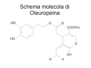 Benefici dell’Olio Extravergine di Oliva nell’Adulto