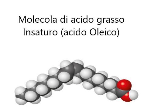 Acido Oleico: una molecola dalle proprietà straordinarie