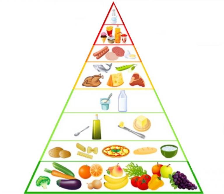 Cos è La Piramide Alimentare Wikipedia
