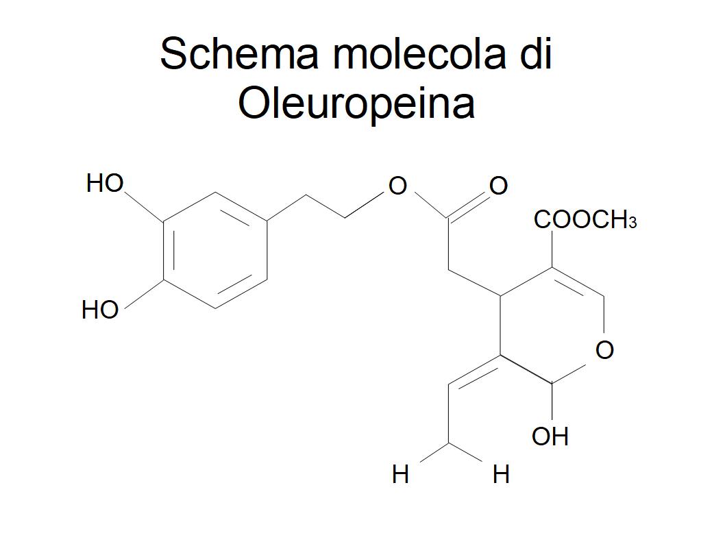 Olio Extravergine di Oliva: scoperti nuovi polifenoli