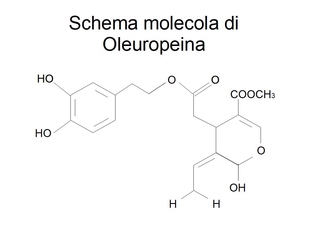 Neuroni, invecchiamento e Olio Extravergine di Oliva