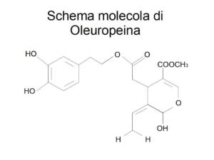 L'Oleuropeina è un potente alleato contro il cancro al seno