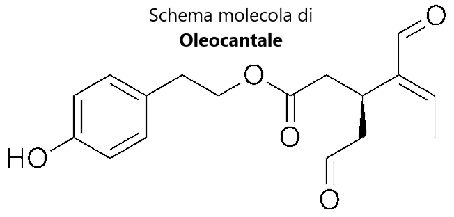 Un Extravergine di Eccellenza è sinonimo di salute e spesa intelligente