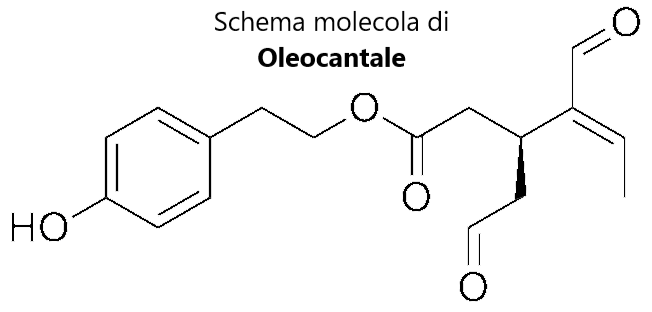 L'Extravergine è ideale anche per friggere e la ragione è scientifica