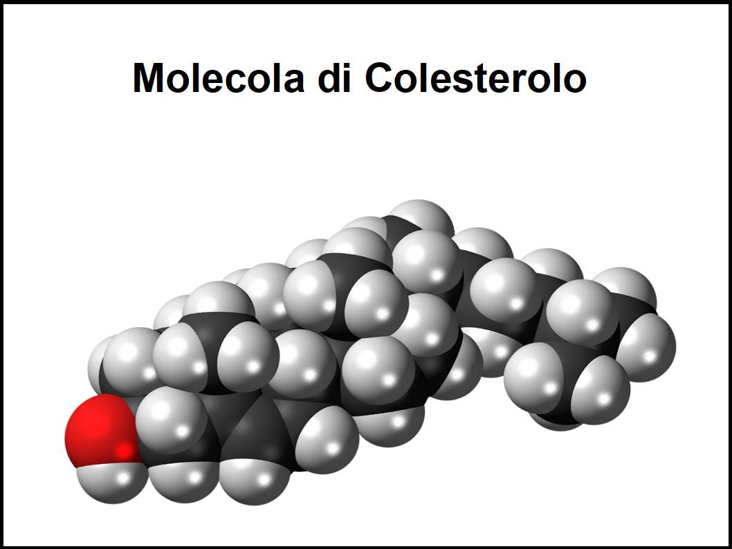 Solo gli Extravergine ad alto contenuto fenolico sono Nutrigenomici