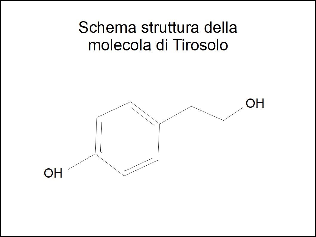 L'azione dei Polifenoli dell'Extravergine neutralizza i Radicali Liberi