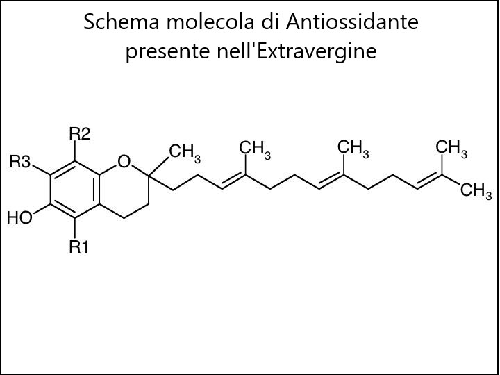 Oleosite: una molecola dell'Extravergine contro il tumore al seno