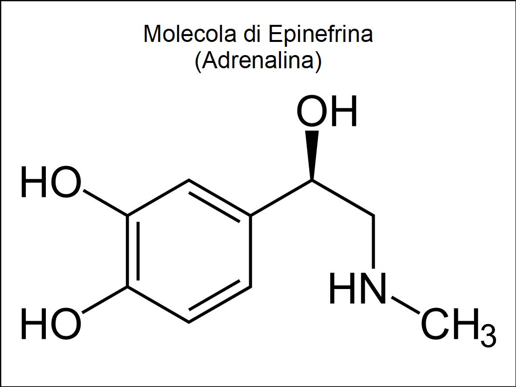 L’Olio Extravergine di Oliva combatte l’invecchiamento della pelle