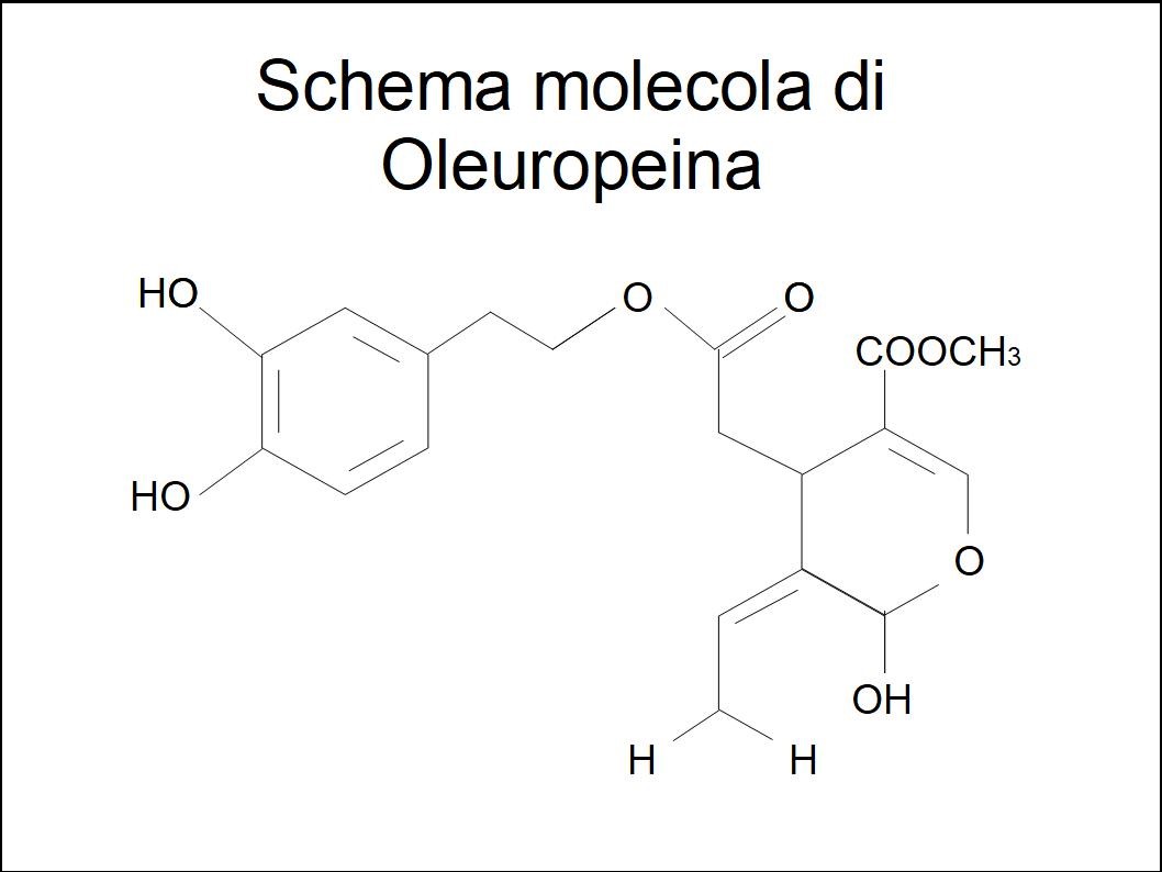 L'Extravergine di Oliva funziona come una vera e propria medicina