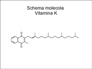 L'Extravergine migliora l'assimilazione delle sostanze bioattive