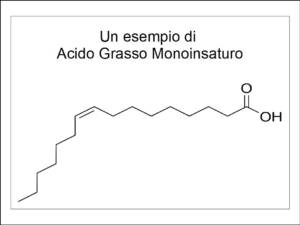 I grassi monoinsaturi dell'Extravergine per una dieta che allunga la vita