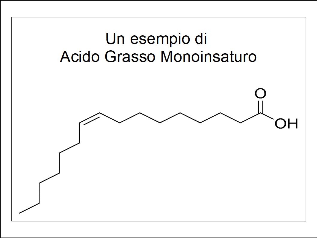 I grassi monoinsaturi dell’Extravergine per una dieta che allunga la vita