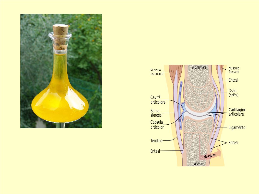 L’Extravergine di Oliva riduce i livelli di infiammazione delle articolazioni