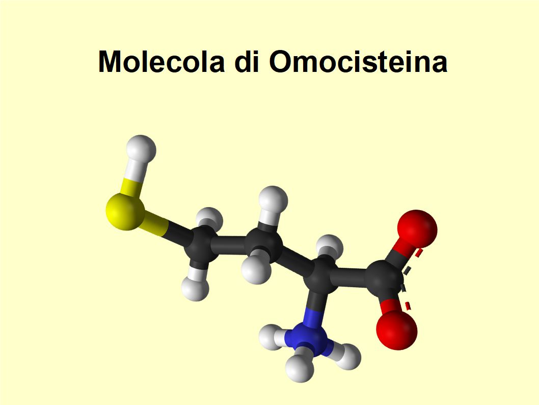 L'Extravergine di Oliva riduce i livelli di infiammazione delle articolazioni