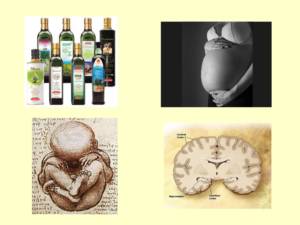 L'uso di Extravergine in gravidanza è positivo per la salute del nascituro