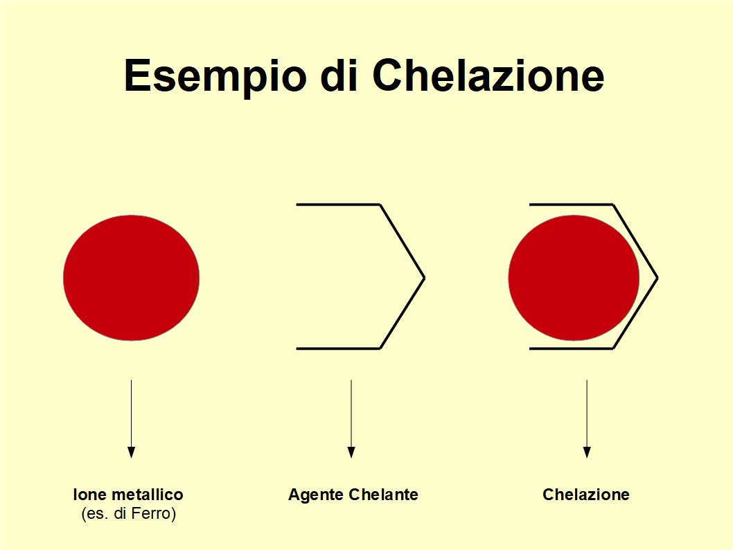 L'Extravergine riduce l'assorbimento del ferro intracellulare ad azione ossidativa