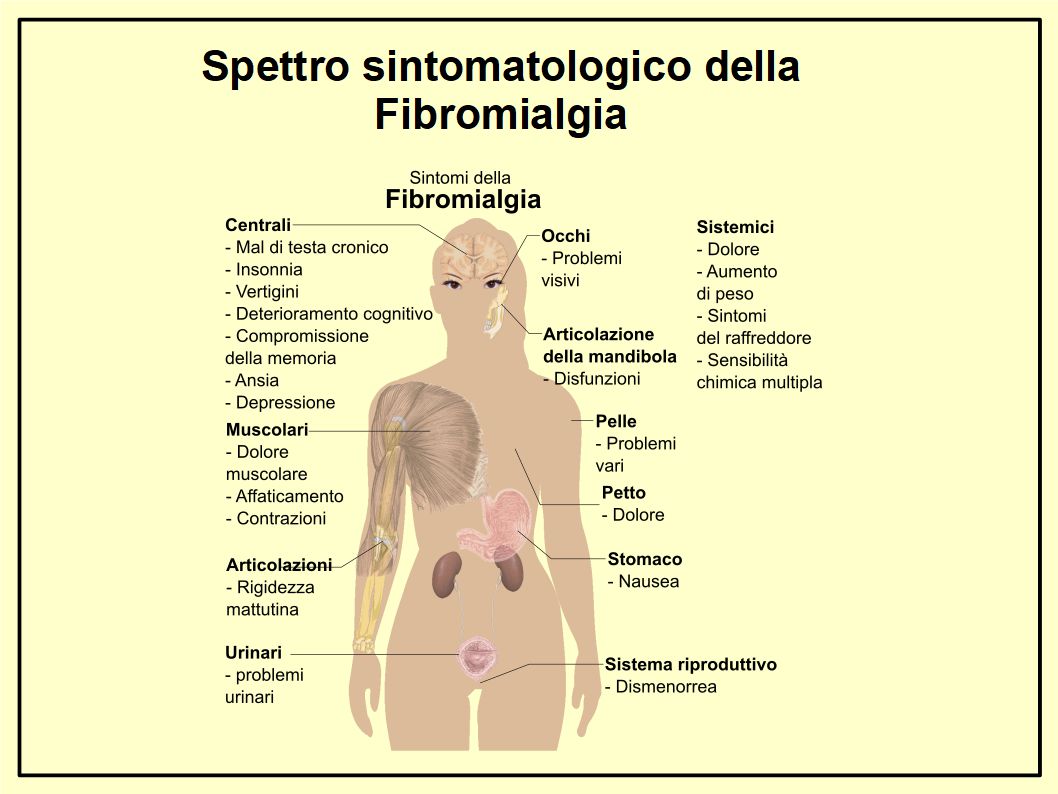 Tra gli oli solo l'Extravergine di Oliva migliora i sintomi della fibromialgia