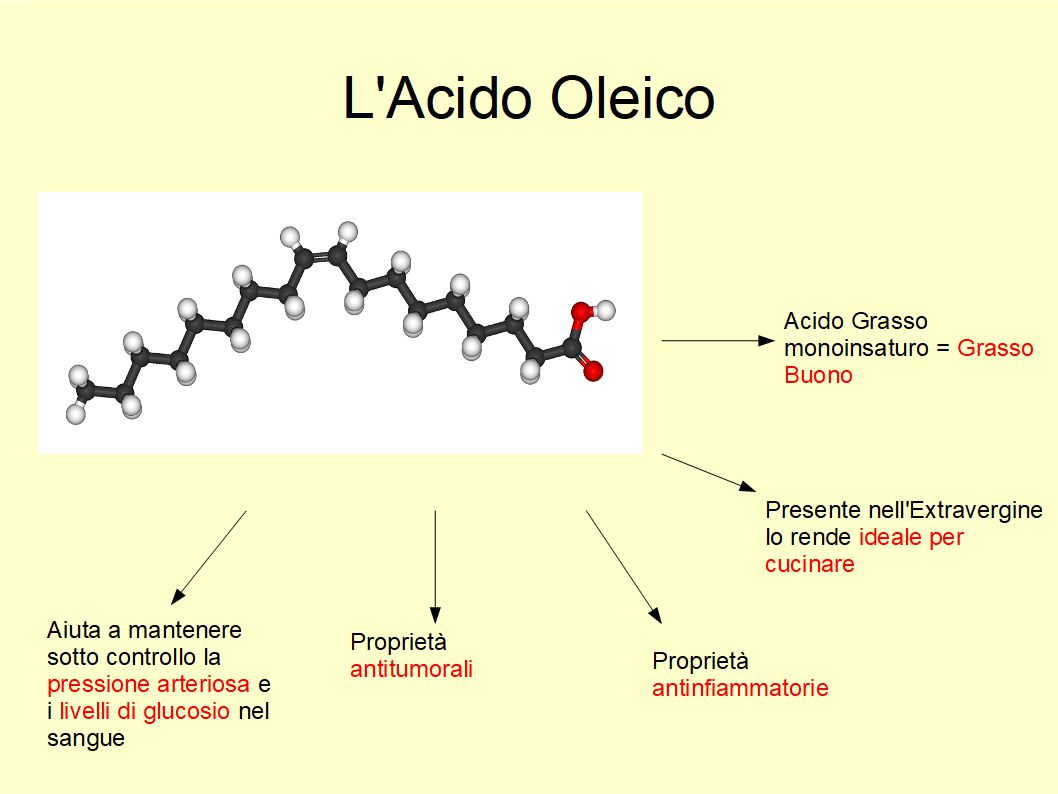 L’Acido Oleico aiuta a controllare il senso di fame e a mantenerci in forma