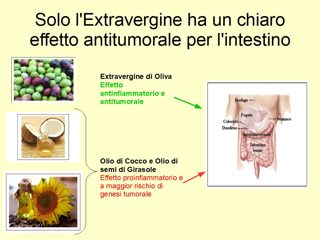 Nel prevenire il tumore intestinale l’Extravergine non ha rivali