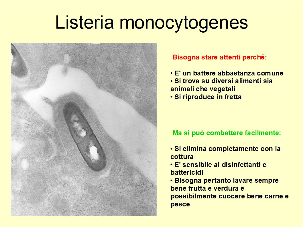 L'Extravergine è un potente antibatterico grazie ai suoi polifenoli