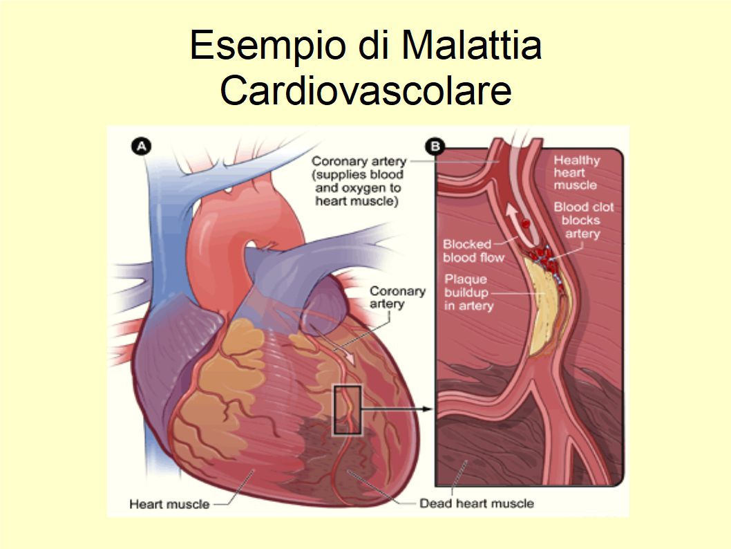 Un filo di Extravergine per proteggere il Cuore