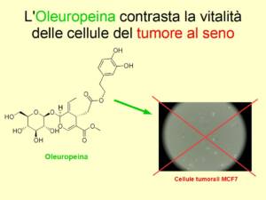 Il potere antitumorale dell'Oleuropeina presente nell'Extravergine