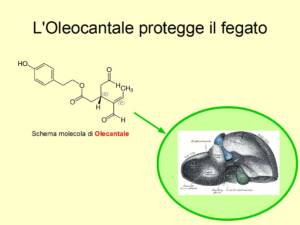 Se l'Extravergine pizzica sulla gola vuol dire che fa bene al fegato