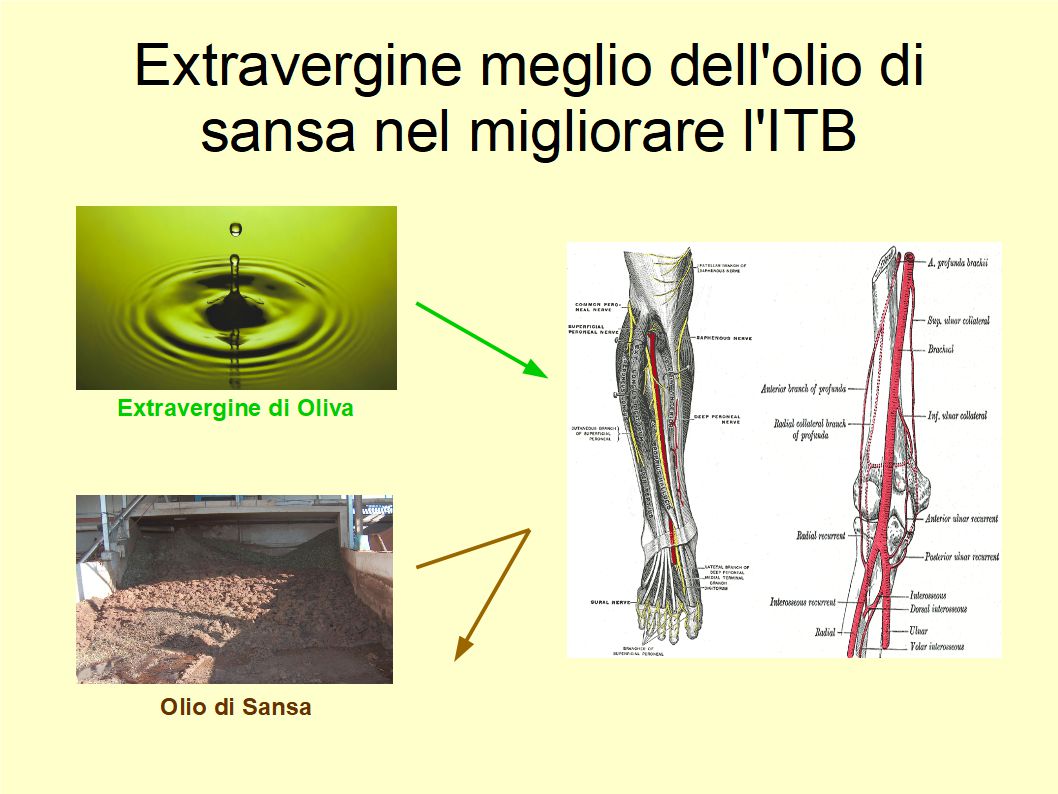 Gli effetti salutari dell'Extravergine che mancano all'olio di sansa