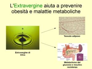 Consumare Extravergine aiuta a prevenire obesità e disturbi metabolici