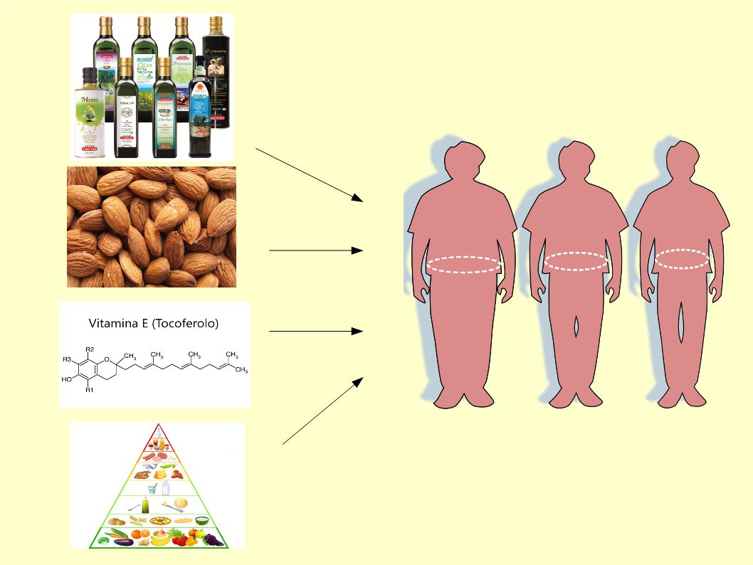 Consumare Extravergine aiuta a prevenire obesità e disturbi metabolici