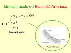 L'idrossitirosolo migliora l'elasticità delle nostre arterie