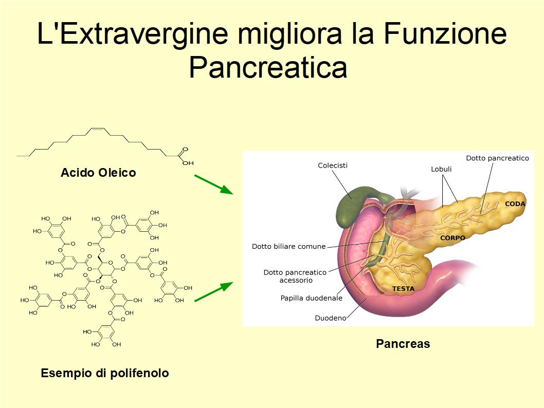 L'Uso quotidiano di Extravergine favorisce la funzione pancreatica