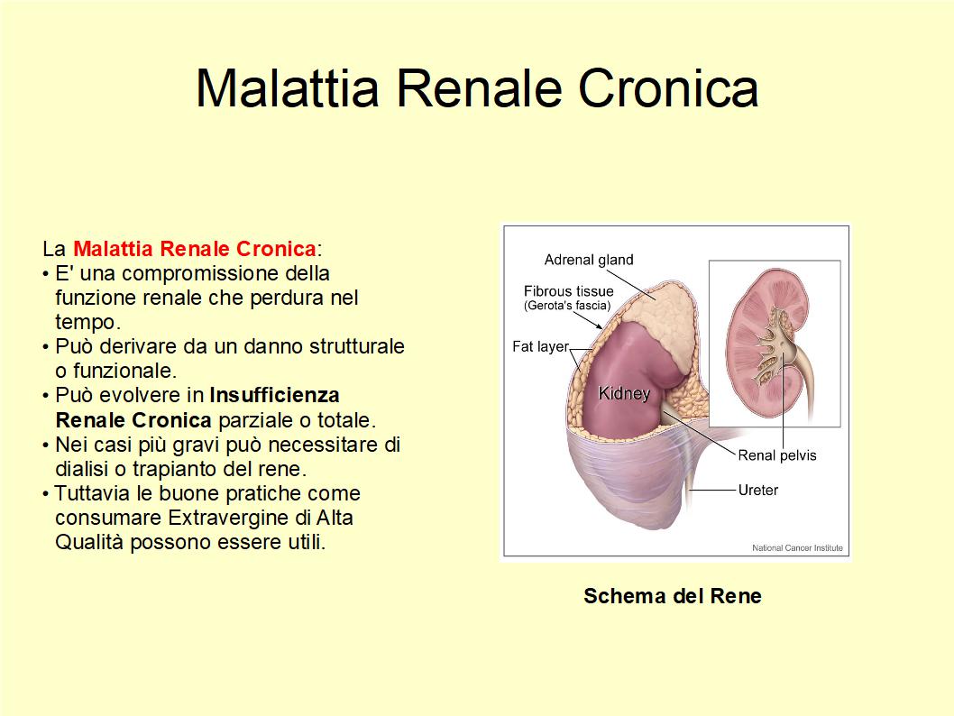 L'Extravergine di Alta Qualità aiuta prevenire la Malattia Renale Cronica