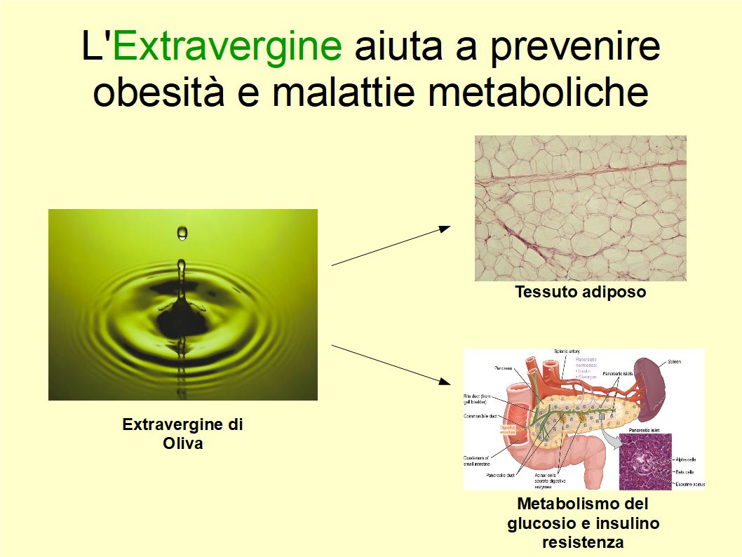  scienza conferma l'importanza dell'Extravergine per il controllo del peso