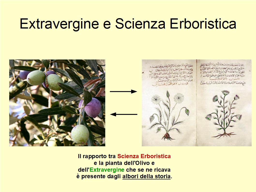 Le proprietà dell’Extravergine e dell’Olivo erano già note agli antichi erboristi