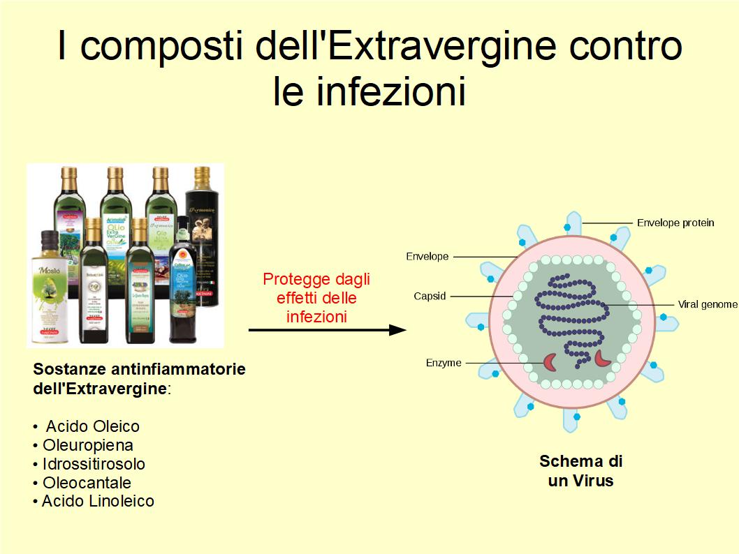 L’Extravergine di Oliva può aiutare a difenderci anche dalle infezioni virali