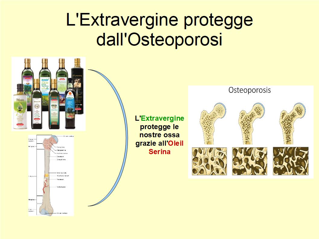 Una molecola contenuta nell'Extravergine di Oliva combatte l'osteoporosi