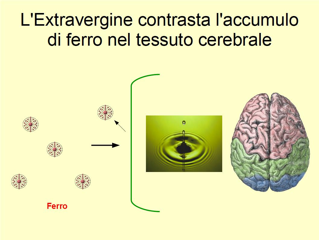 Consumare Extravergine contrasta l’accumulo anomalo di ferro nel tessuto cerebrale