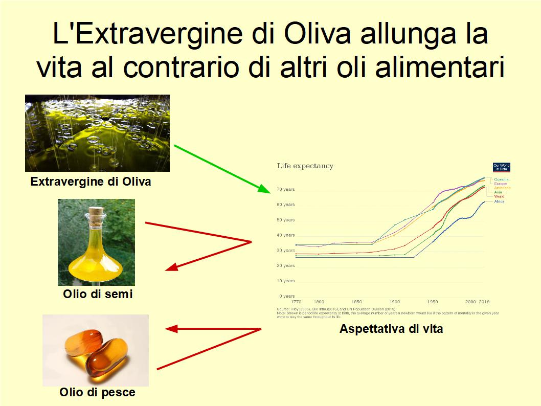 Ecco la prova che consumare quotidianamente Extravergine allunghi la vita