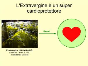 L'Extravergine di Oliva migliora la percentuale del colesterolo buono nel sangue