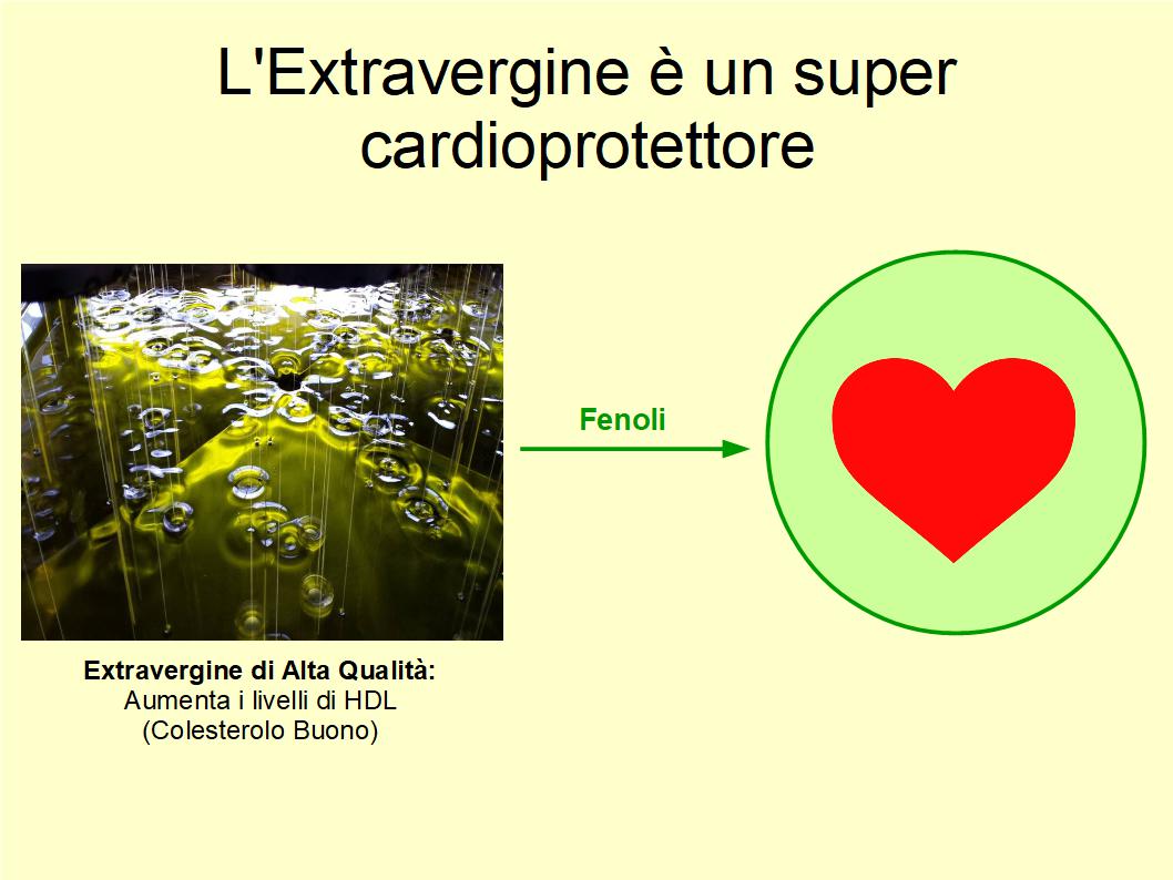 L'Extravergine di Oliva migliora la percentuale del colesterolo buono nel sangue