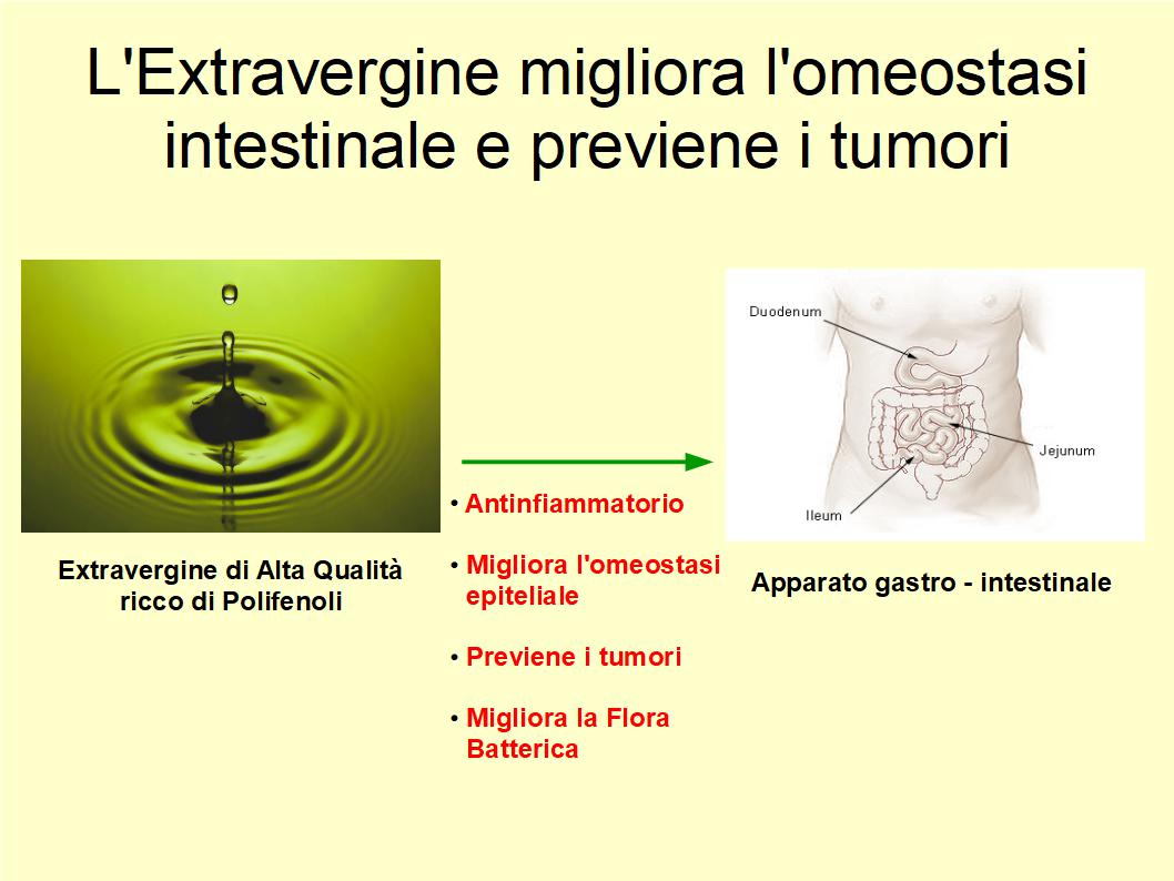 Consumare Extravergine quotidianamente previene le malattie dell’intestino