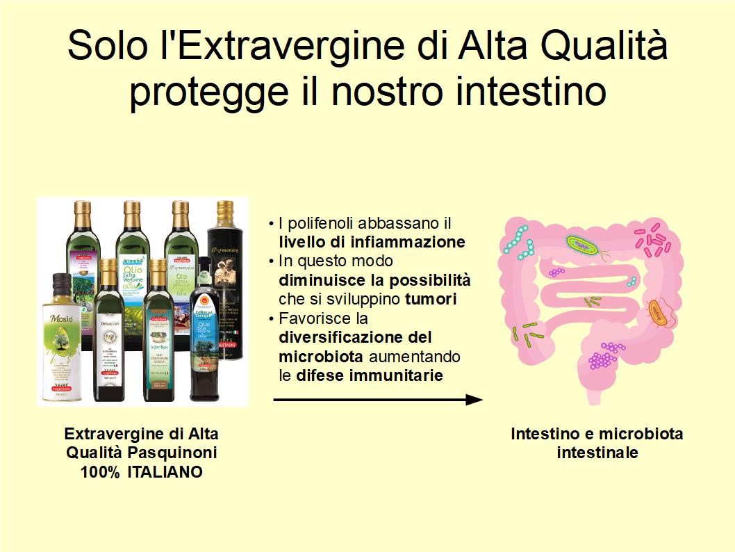 L’Extravergine di Oliva contrasta le patologie dell’intestino ma solo se di Alta Qualità