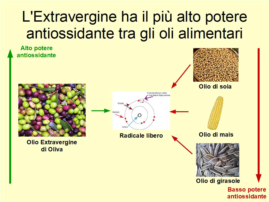 L'Extravergine di Oliva è l'olio alimentare con il più alto potere antiossidante