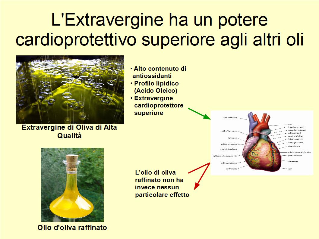 L’importanza del consumo di Extravergine per la salute del Cuore