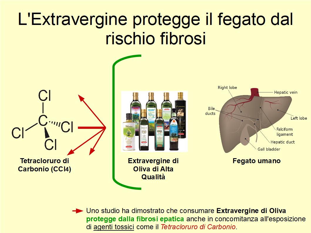 L'Extravergine protegge il nostro fegato dal rischio di sviluppare fibrosi