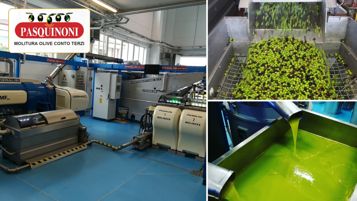 Molitura Olive Conto Terzi in Emilia-Romagna: Guida al Frantoio Pasquinoni in Provincia di Rimini